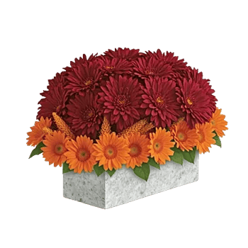 Ruby Petal Cascade