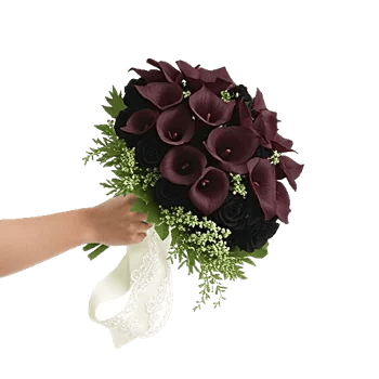Elegant Calla Lilies