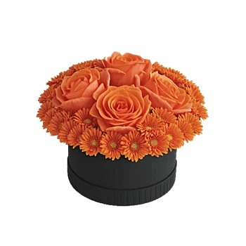 Petal Radiance Bliss