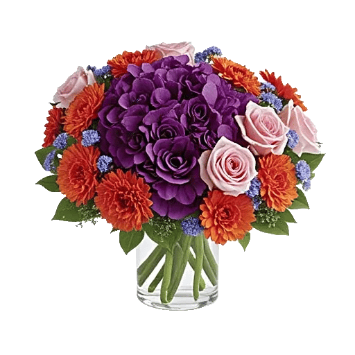 Petal Radiance Bliss