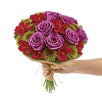 Blushing Rose Symphony