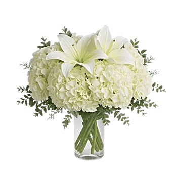 Graceful Lily Display