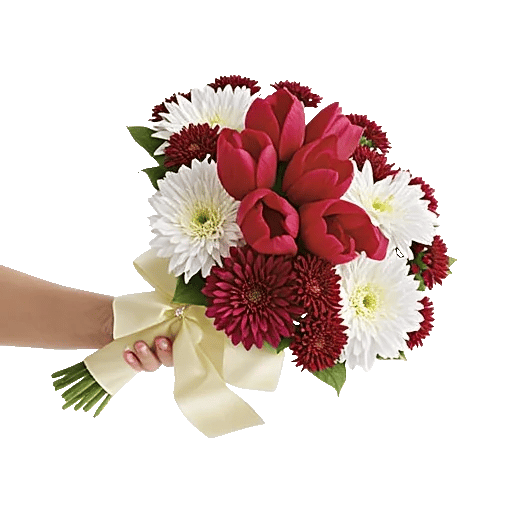 Velvet Tulip Display