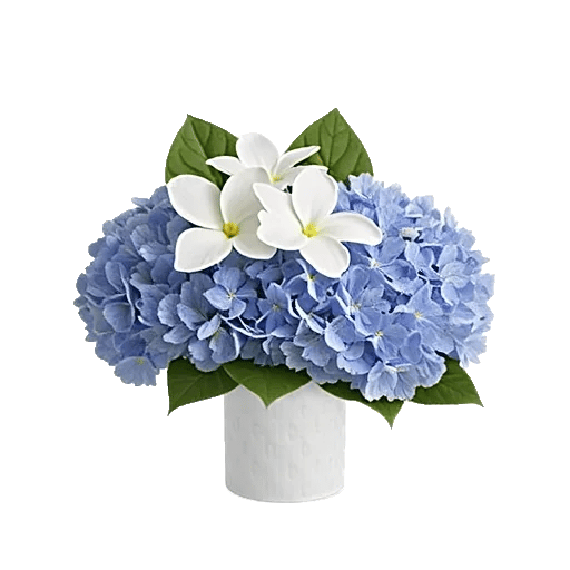 Minimalist White Orchids