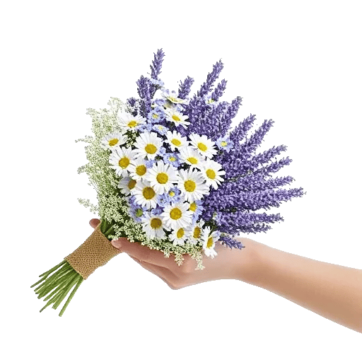 Fresh Meadow Blooms