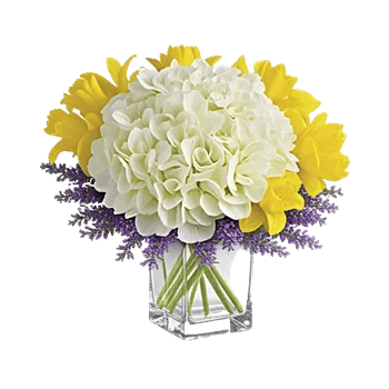 Serene Petal Harmony