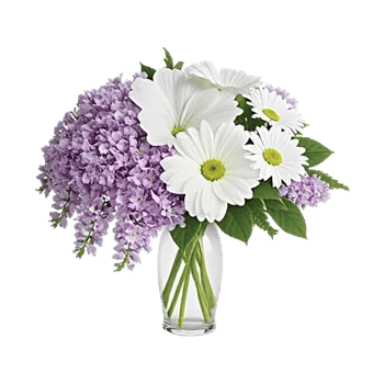 Ivory Blossom Radiance