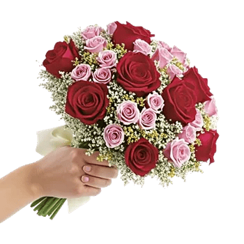 Crimson Rose Elegance