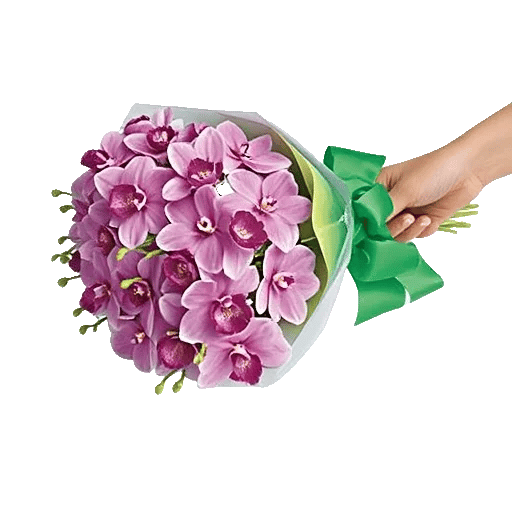 Serenity Orchid Bloom