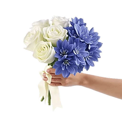 Blossom Petal Serenity