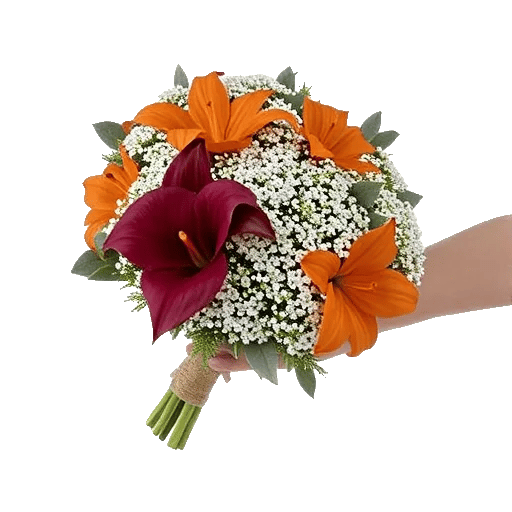 Elegant Calla Lilies