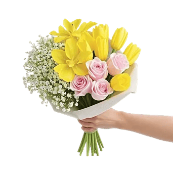 Blossom Harmony Display