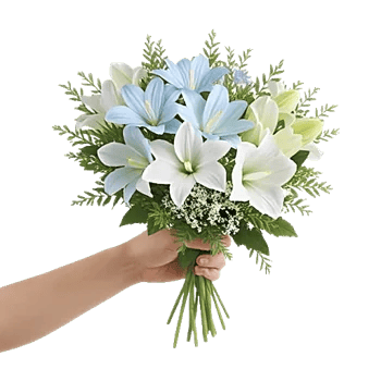 Serenity Blossom Grace