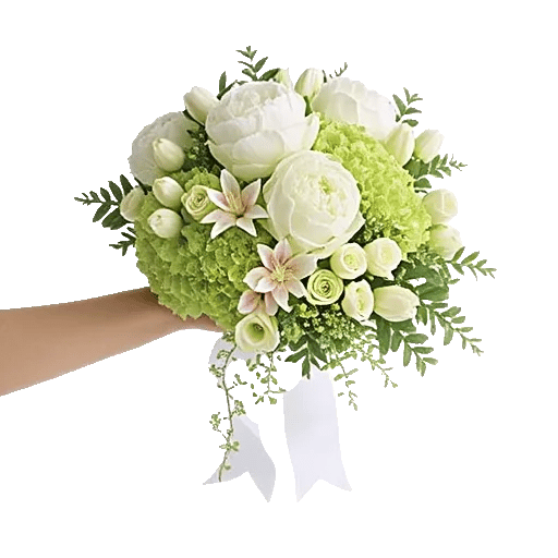 Ivory Blossom Radiance