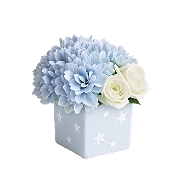 Serene Garden Harmony