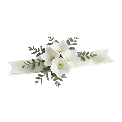 Minimalist White Orchids