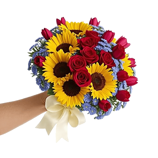 Crimson Rose Elegance