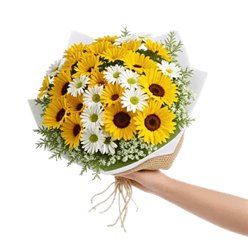 Daisy Meadow Spread