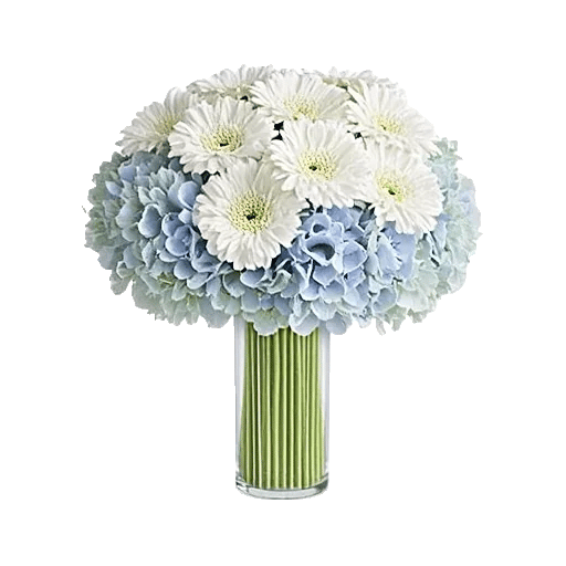 Ivory Blossom Radiance