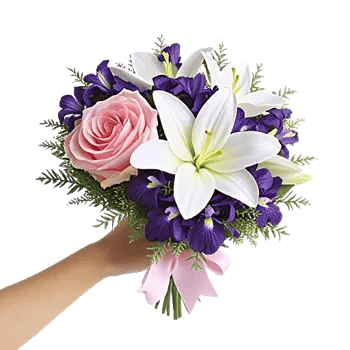 Blushing Rose Symphony