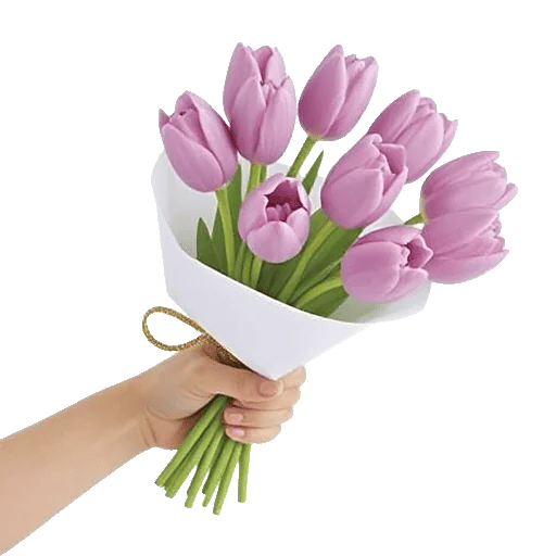 Velvet Tulip Display