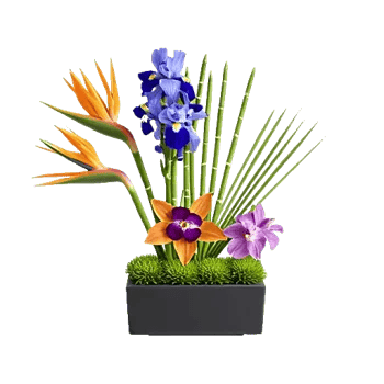 Minimalist White Orchids