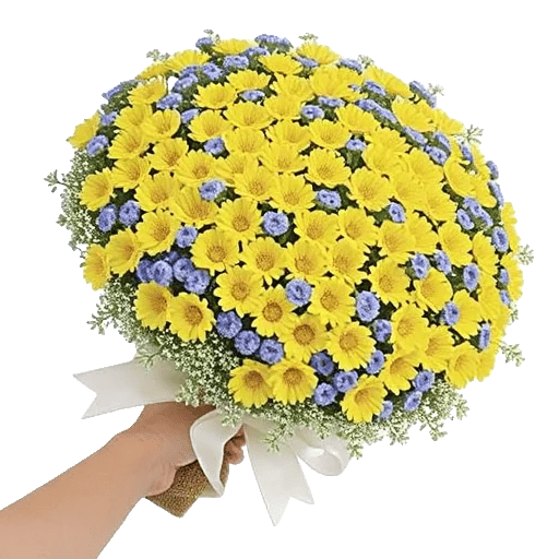 Blossom Petal Serenity