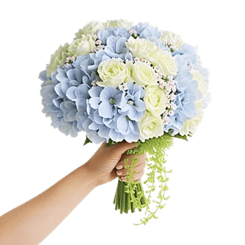 Delicate Petal Cascade