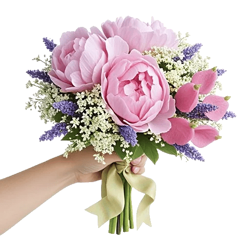Peony Petal Harmony