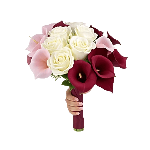 Elegant Calla Lilies