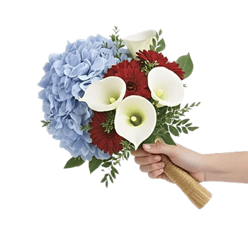 Sapphire Bloom Whisper