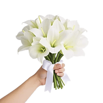 Graceful Lily Display