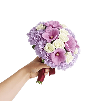 Blushing Rose Symphony