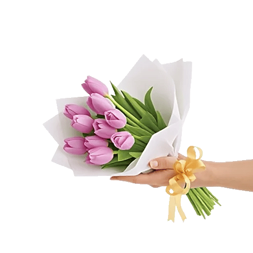 Velvet Tulip Display