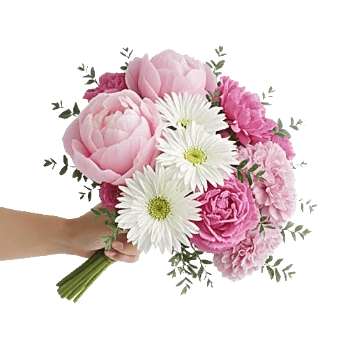 Peony Petal Harmony