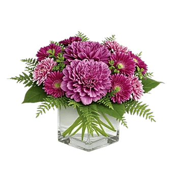 Petal Radiance Bliss