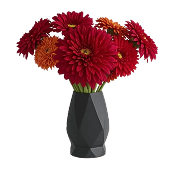 Crimson Blossom Harmony