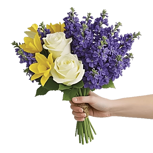 Blossom Harmony Display