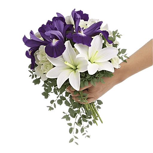 Ivory Blossom Radiance