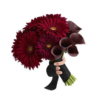 Elegant Calla Lilies