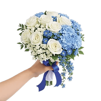 Serene Petal Harmony