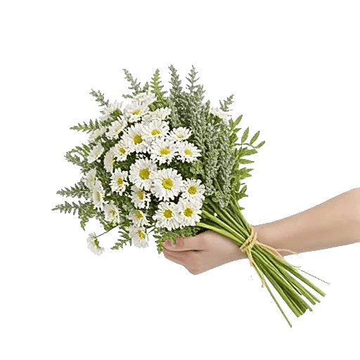 Rosemary Bloom Elegance