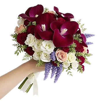 Orchid Bloom Cascade