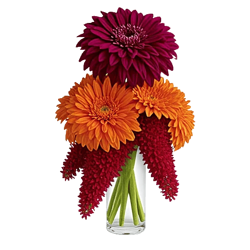 Crimson Blossom Harmony