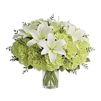 Graceful Lily Display