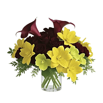 Elegant Calla Lilies