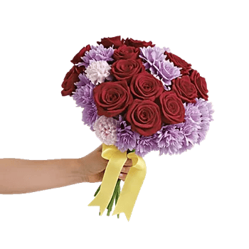 Blushing Rose Symphony