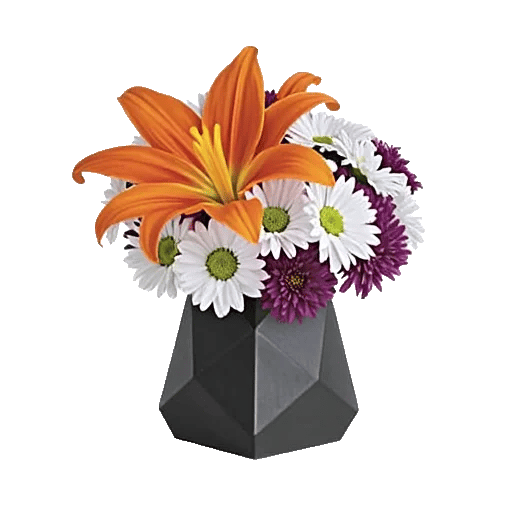 Petal Radiance Bliss