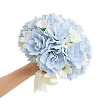 Serene Petal Harmony