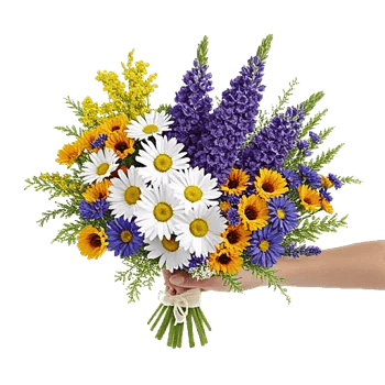 Petal Harmony Bliss